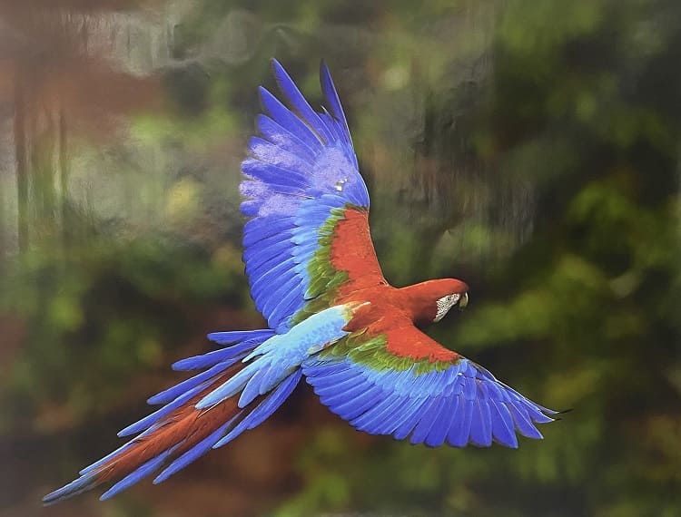 Композиция постеров в зависимости от стиля оформления офиса