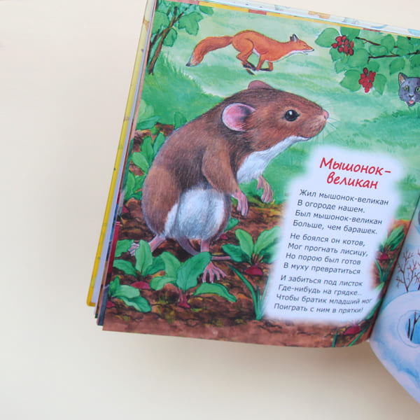 Требования к детским книгам